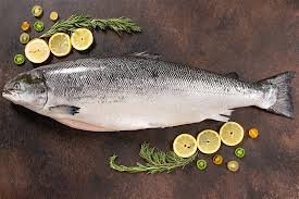 Salmon Fish